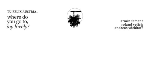 For Diversity and Origin - Manifest by Armin Tement, Roland Velich and Andreas Wickhoff