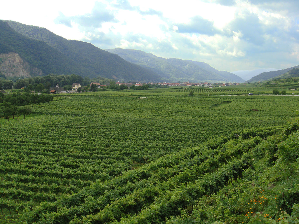 Wachau